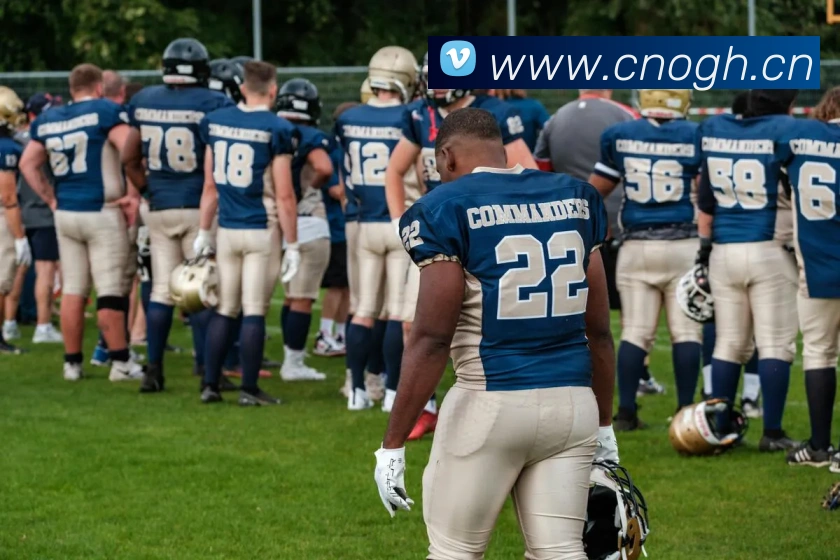 多媒体互动体验